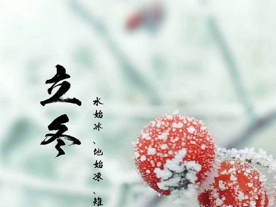 今日立冬，啟睿喊你吃餃子嘍